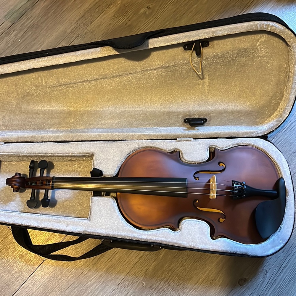 Violin